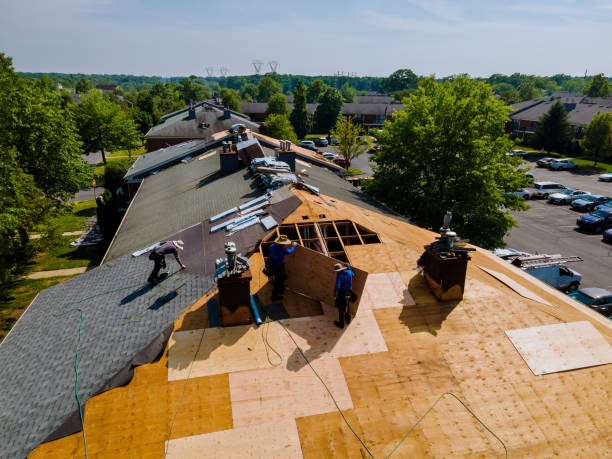 Trusted Emergency Roof Repair service in Scottville, NC - Brentwood Metal Roofing